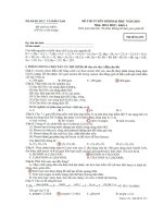 Đáp án mon Hóa ĐH 2010