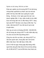 Nghiên cứu thị trường: Mắt tinh, tai thính ppt