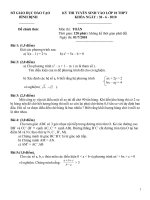 TSL10 Toan Bình Định 10-11