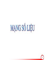 Mạng số liệu pptx