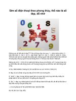 Sim số điện thoại theo phong thủy, thế nào là số đẹp, dễ nhớ ppsx