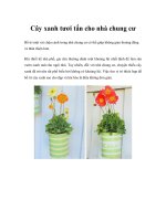 Cây xanh tươi tắn cho nhà chung cư Bố trí một vài chậu cảnh trong nhà chung cư ppsx