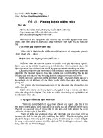 Phòng bệnh Viêm Não