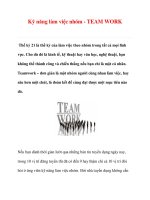 Kỹ năng làm việc nhóm - TEAM WORK docx