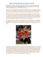 Hà Lan vào tứ kết_2010