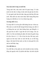 Gây màu nước trong ao nuôi tôm pdf
