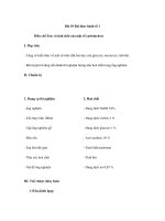 Giáo án hóa học lớp 12 chương trình nâng cao - Bài 10 ppsx