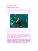 Sinh học ứng dụng ( phần 9 ) pptx