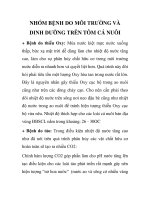 NHÓM BỆNH DO MÔI TRƯỜNG VÀ DINH DƯỠNG TRÊN TÔM CÁ NUÔI docx