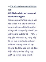 Vai trò của hoocmon với thực vật ppt