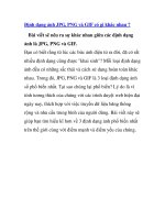 Định dạng ảnh JPG, PNG và GIF có gì khác nhau? potx