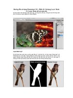 Sử dụng Layer Mask và Vector Mask pdf