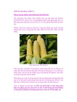 Sinh học ứng dụng ( phần 8 ) ppt