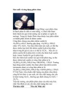 Sản xuất và ứng dụng phèn chua docx