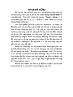 Tả con gà trống