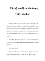 Các hệ tọa độ cơ bản trong potx
