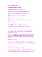 Nguyên tắc thiết kế ( phần 2 ) potx