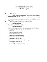 Đề thi HKII Văn 11