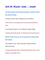 Unit 40. Would. I wish … potx
