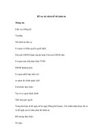 Hỗ trợ tài chính để thi hành án pps