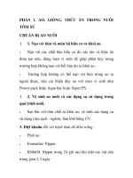 PHẦN 1. AO, GIỐNG, THỨC ĂN TRONG NUÔI TÔM SÚ CHUẨN BỊ AO NUÔI potx