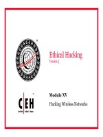 Module XV Hacking Wireless Networks pdf