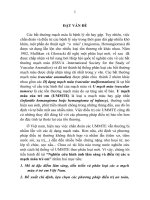 Nghiên cứu hình ảnh lâm sàng và điều trị các u mạch máu trẻ em