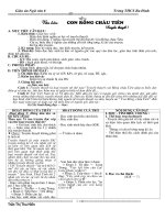 Bài 19:cây tre Việt Nam