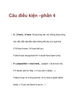 Câu điều kiện –phần 4 doc