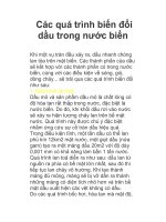 Các quá trình biến đổi dầu trong nước biển pptx