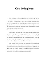 Cơn hoảng loạn ppsx