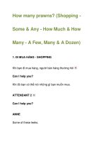 How many prawns? potx