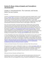 Section II - Drugs Acting at Synaptic and Neuroeffector Junct pot