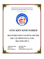 Một số phương pháp tạo hứng thú cho học sinh lập trình pascal ppsx