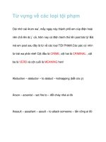 Từ vựng về các loại tội phạm docx