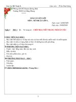 GIÁO ÁN TOÀN TẬP LỚP 6