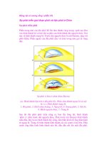 Động vật có xương sống ( phần 10) pptx