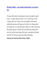 Brand widget – sức mạnh công nghệ và sự sáng tạo pps