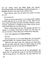 Kỹ Thuật Chăn Nuôi - Gà, Gà Công Nghiệp phần 4 pot
