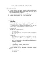 Chuẩn đoán và xử trí tình trạng sốc pot