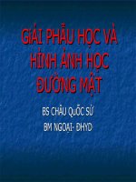 GiẢI PHẪU HỌC VÀ HÌNH ẢNH HỌC ĐƯỜNG MẬT pptx