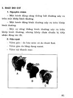 Y Học - Hệ Thần Kinh phần 8 pps