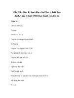 Cấp Giấy đăng ký hoạt động cho Công ty luật Hợp danh, Công ty luật TNHH hai thành viên trở lên pptx