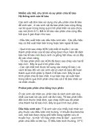 Nhiễm sắc thể, chu trình và sự phân chia tế bào pot