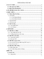VIÊM MÀNG NÃO MỦ ppt