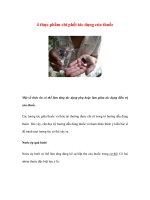 4 thực phẩm chi phối tác dụng của thuốc pot