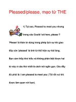 Pleased/please, mạo từ THE pps