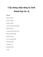 Cấp chứng nhận đăng ký kinh doanh hợp tác xã pot