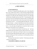 SKKN-Tổ chức dạy học theo nhóm