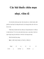 Các bài thuốc chữa mụn nhọt pot